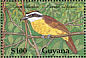 Great Kiskadee Pitangus sulphuratus  1990 Birds of Guyana  MS