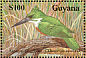 Amazon Kingfisher Chloroceryle amazona  1990 Birds of Guyana  MS MS