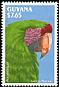 Great Green Macaw Ara ambiguus  1993 South American parrots 