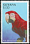 Red-and-green Macaw Ara chloropterus  1993 South American parrots 