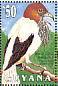 Bearded Bellbird Procnias averano  1993 Birds of Guyana Sheet