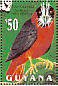 White-plumed Antbird Pithys albifrons  1993 Birds of Guyana Sheet