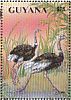 Common Ostrich Struthio camelus  1993 Fauna, living and prehistoric 9v sheet