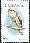 Northern Goshawk Accipiter gentilis  1995 Birds of the world 