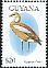 Egyptian Goose Alopochen aegyptiaca  1995 Birds of the world 
