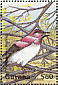 Violet-backed Starling Cinnyricinclus leucogaster  1995 Wildlife 9v sheet