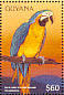 Blue-and-yellow Macaw Ara ararauna  1996 Birds Sheet