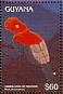 Andean Cock-of-the-rock Rupicola peruvianus  1996 Birds Sheet