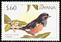 Spotted Towhee Pipilo maculatus  1997 Birds of the world 