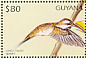 Long-tailed Hermit Phaethornis superciliosus  1997 Hummingbirds Sheet