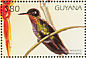 Fiery-throated Hummingbird Panterpe insignis  1997 Hummingbirds Sheet