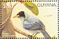 Green Honeycreeper Chlorophanes spiza  1997 Birds of the world Sheet