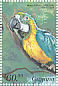 Blue-and-yellow Macaw Ara ararauna  1999 Parrots of Central America Sheet