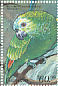 Turquoise-fronted Amazon Amazona aestiva