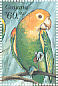 Yellow-headed Amazon Amazona oratrix  1999 Parrots of Central America Sheet