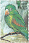 Orange-chinned Parakeet Brotogeris jugularis  1999 Parrots of Central America Sheet