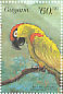 Thick-billed Parrot Rhynchopsitta pachyrhyncha  1999 Parrots of Central America Sheet
