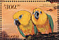 Sun Parakeet Aratinga solstitialis  1999 Parrots of Central America  MS