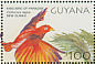King Bird-of-paradise Cicinnurus regius  2001 Tropical birds Sheet
