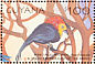 Wire-tailed Manakin Pipra filicauda  2001 Tropical birds Sheet