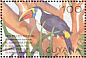 White-throated Toucan Ramphastos tucanus  2001 Tropical birds Sheet