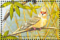 Red-faced Mousebird Urocolius indicus  2002 Birds of Central America Sheet