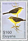 Golden-crowned Warbler Basileuterus culicivorus  2007 Birds of South America Sheet