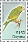 White-winged Parakeet Brotogeris versicolurus  2007 Birds of South America Sheet