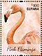 Chilean Flamingo Phoenicopterus chilensis  2014 Flamingos Sheet