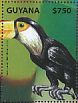 Toco Toucan Ramphastos toco  2014 Animals of South America  MS