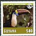 White-throated Toucan Ramphastos tucanus  2014 Animals and birds 20v set