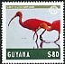 Scarlet Ibis Eudocimus ruber  2014 Animals and birds 20v set
