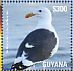 California Gull Larus californicus  2015 Seagulls Sheet