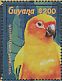 Sun Parakeet Aratinga solstitialis  2015 Parrots of South America Sheet