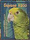 Yellow-crowned Amazon Amazona ochrocephala  2015 Parrots of South America Sheet