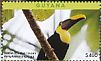 Yellow-throated Toucan Ramphastos ambiguus  2017 Tropical toucans Sheet