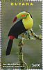 Keel-billed Toucan Ramphastos sulfuratus  2017 Tropical toucans Sheet
