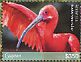 Scarlet Ibis Eudocimus ruber  2018 Birds of Guyana Sheet