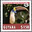 White-throated Toucan Ramphastos tucanus  2018 Wildlife 5v set