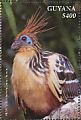 Hoatzin Opisthocomus hoazin  2018 National bird Sheet