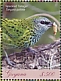 Spotted Tanager Ixothraupis punctata  2018 Tanagers Sheet