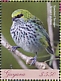 Speckled Tanager Ixothraupis guttata  2018 Tanagers Sheet