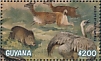 Greater Rhea Rhea americana  2019 Wildlife of South America 6v sheet