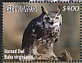 Great Horned Owl Bubo virginianus  2020 Owls Sheet