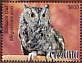 Eastern Screech Owl Megascops asio  2020 Owls Sheet
