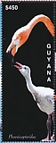 American Flamingo Phoenicopterus ruber  2020 Flamingos Sheet