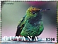 Coppery-headed Emerald Microchera cupreiceps  2021 Hummingbirds Sheet