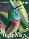 Southern Double-collared Sunbird Cinnyris chalybeus  2021 Hummingbirds  MS