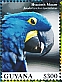 Hyacinth Macaw Anodorhynchus hyacinthinus  2023 Hyacinth Macaw Sheet
