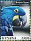 Guyana 2023 Hyacinth Macaw Sheet